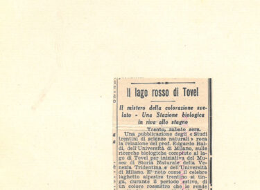 Stampa della sera - 25 febbraio 1939