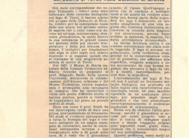 Corriere della sera - 26 February 1939