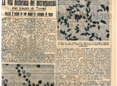 Il gazzettino - 9 luglio 1943