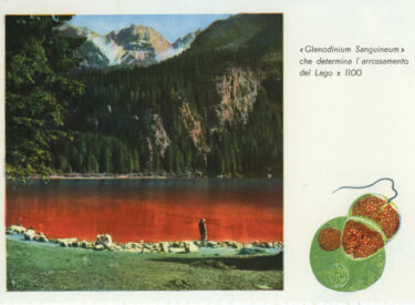 Postcard 70
