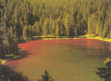 Tovel-Rosso-dal-sentiero-panoramico-da-Tovel-il-lago