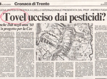 Alto Adige - 25 agosto 1991