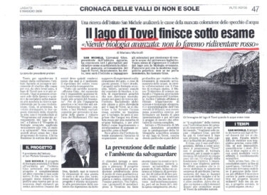 Alto Adige - 6 maggio 2000