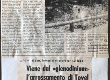 L'Adige - 25 July 1977