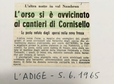 L'Adige - 5 giugno 1965