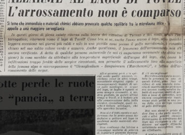 L'Adige - 1 August 1963