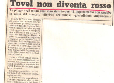 Alto Adige - 13 agosto 1981