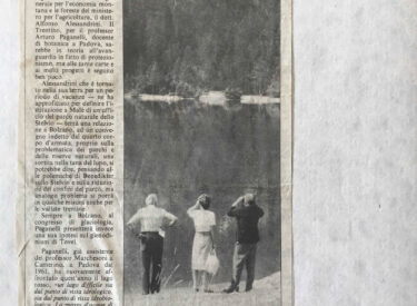 L'Adige - 21 August 1983