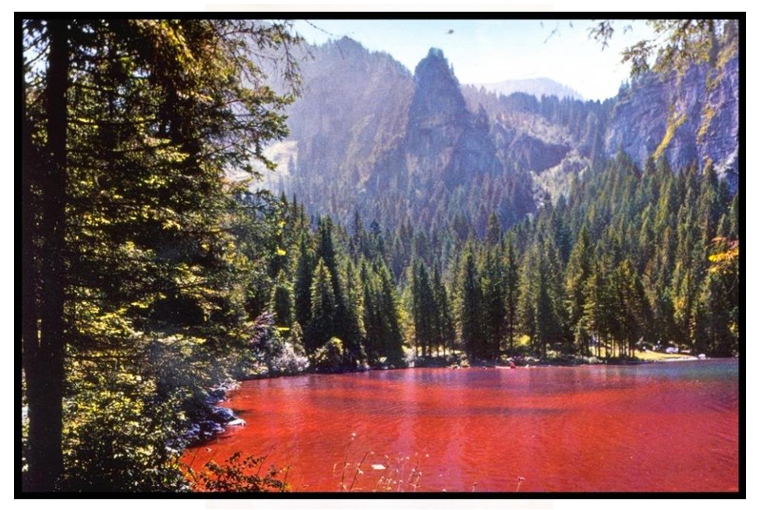 Tovel lago rosso